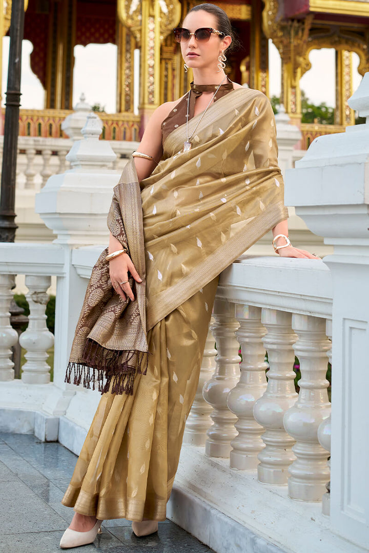 Desert Brown Tissue Silk Saree