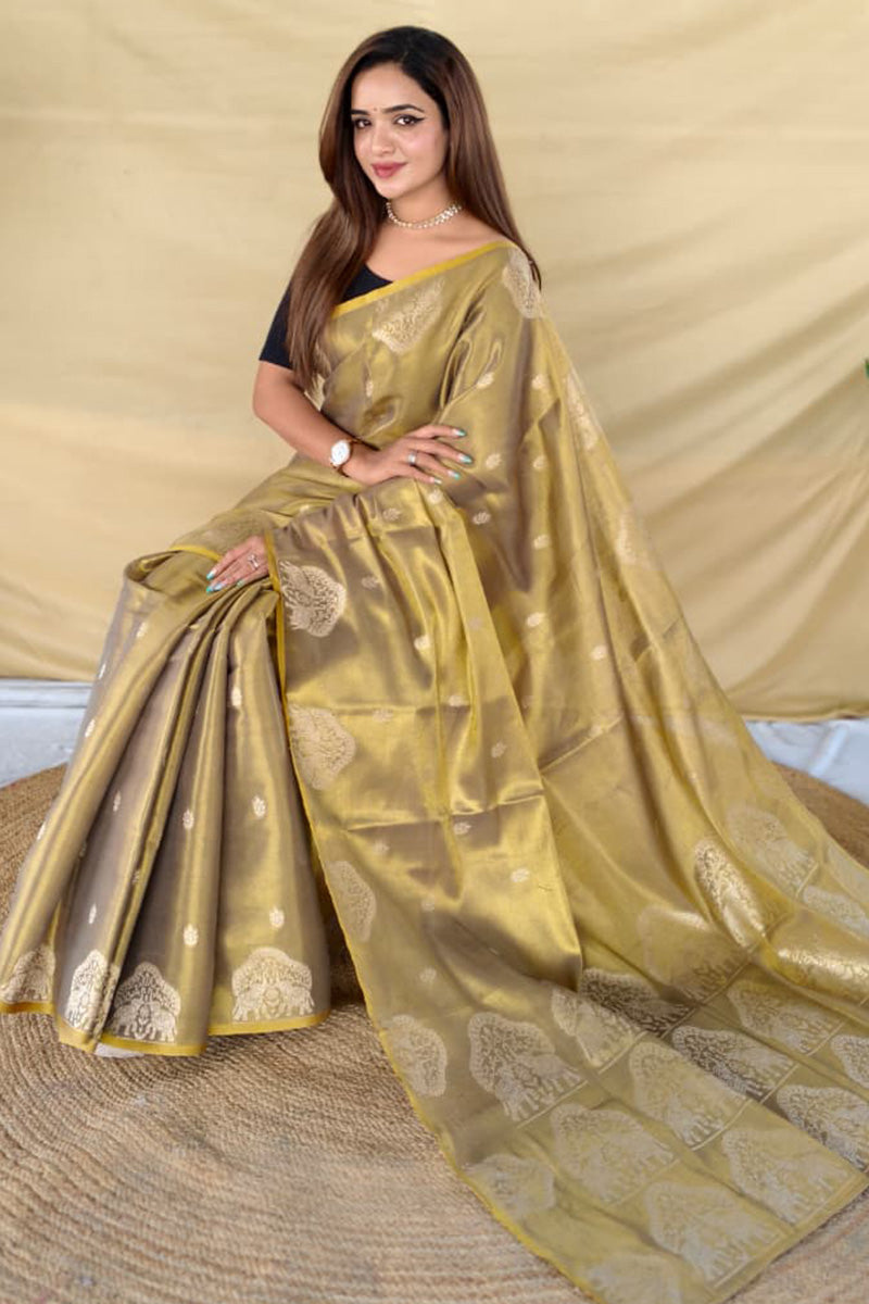 Dark Beige Banarasi Tissue Silk Saree