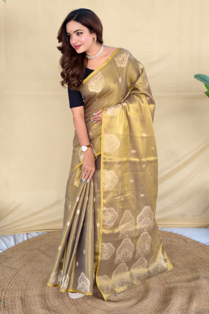 Dark Beige Banarasi Tissue Silk Saree