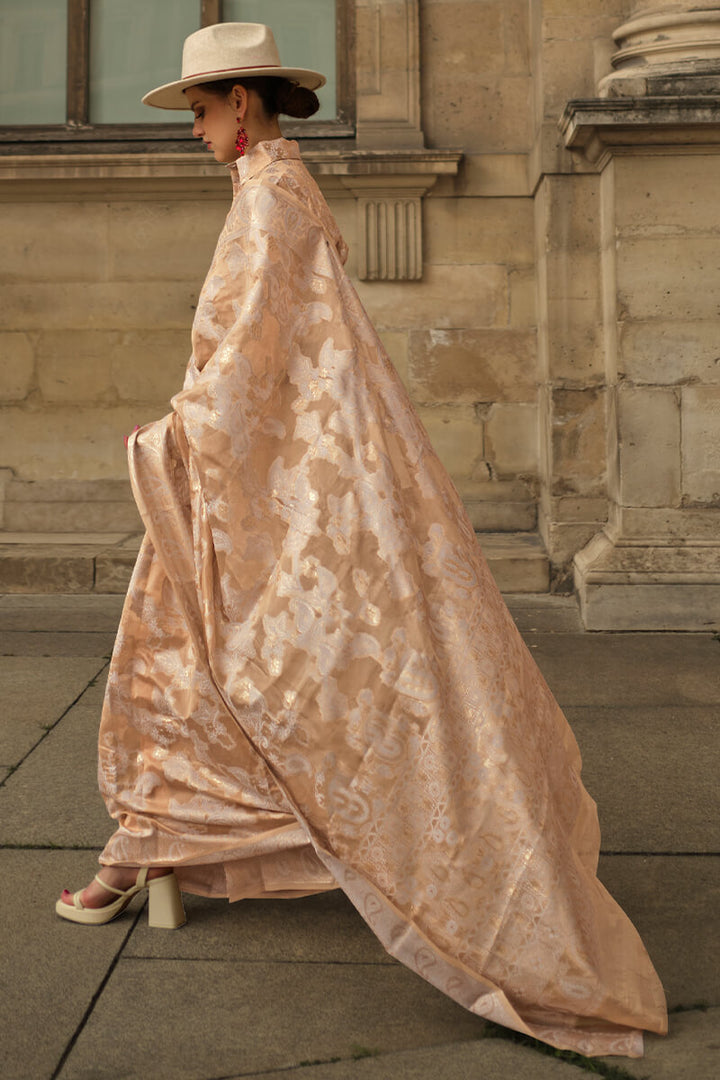 Dark Beige Lucknowi Chikankari Saree