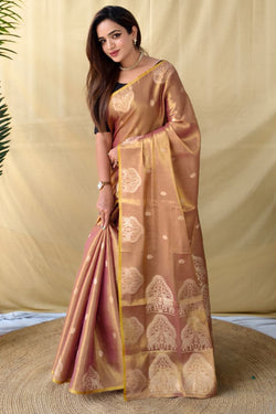 Pastel Brown Banarasi Tissue Silk Saree