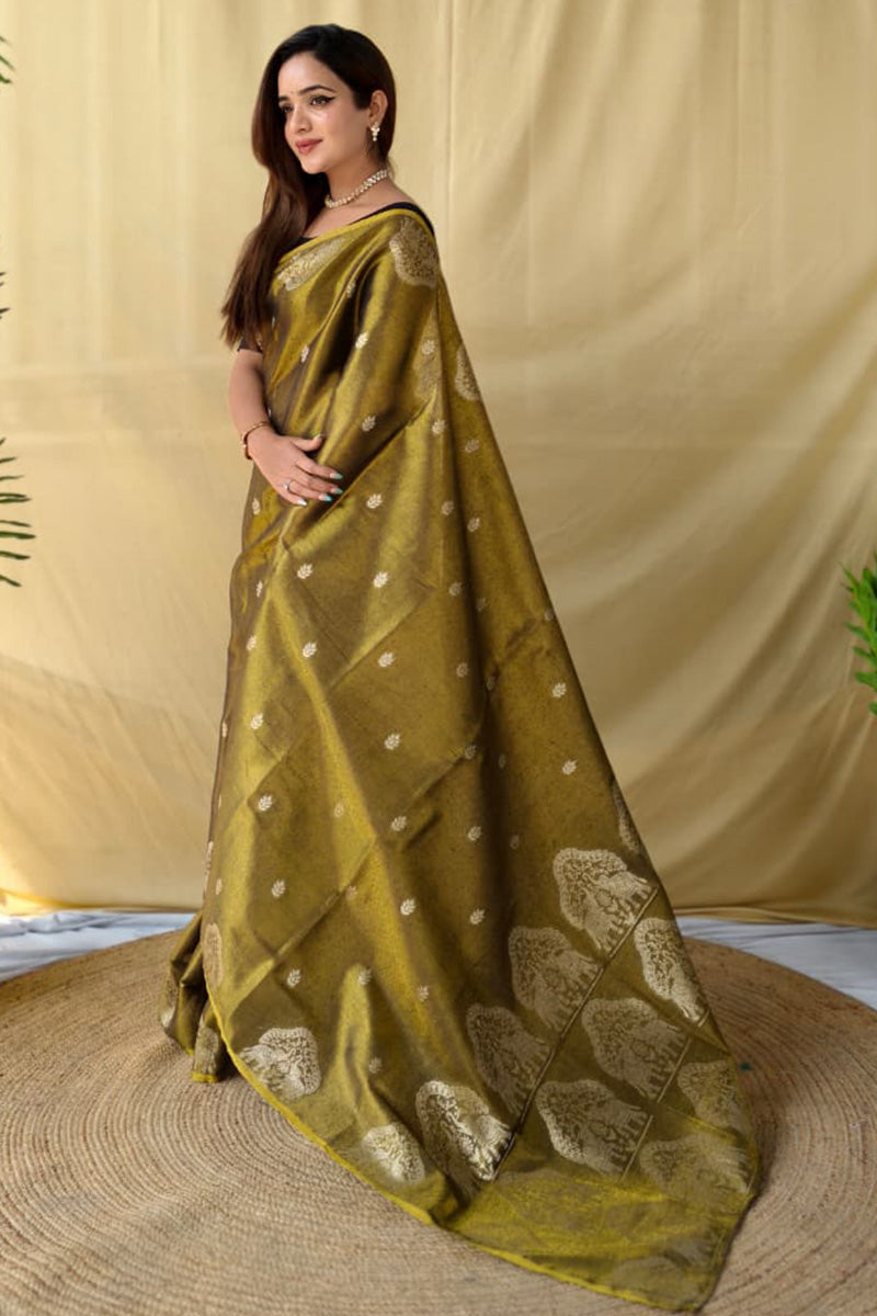 Reef Gold Banarasi Tissue Silk Saree