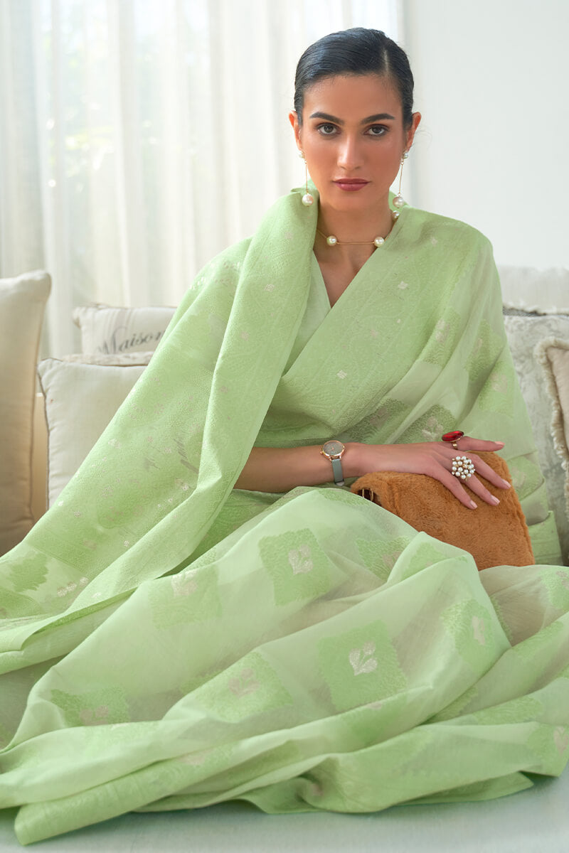 Tan Green Lucknowi Chickankari Silk Saree