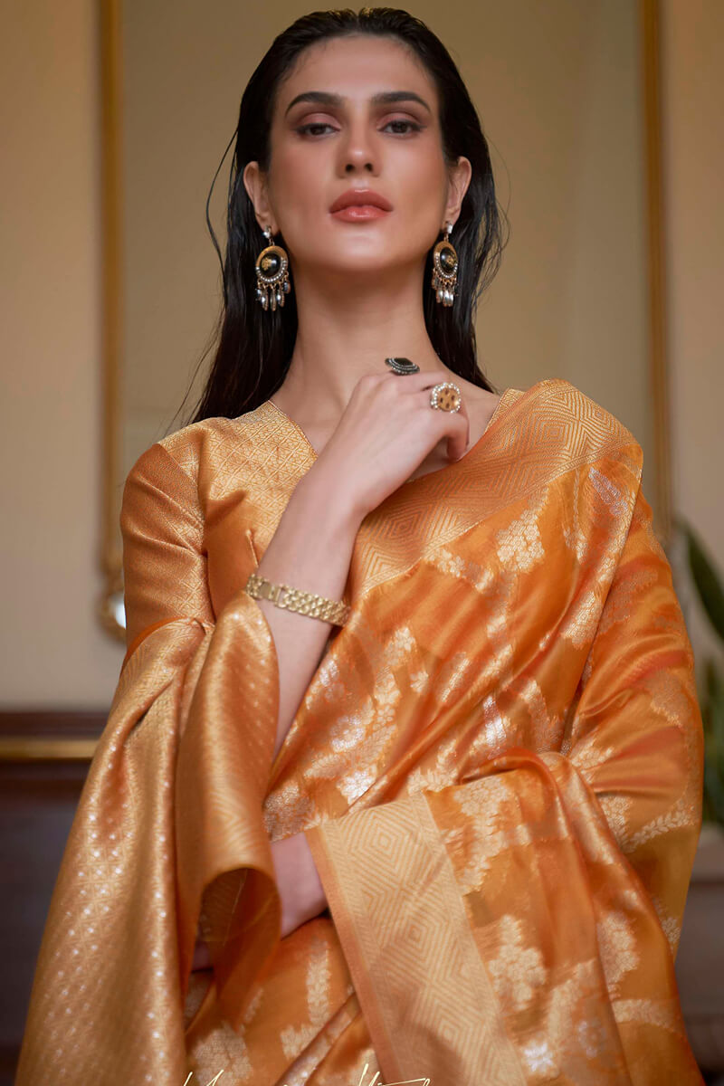 Tiger Orange Organza Silk Saree